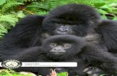 Gorilla and Chimpanzee Safari - Pioneer Expeditions€¦ · Uganda Uganda • Gorilla and Chimpanzee Safari Entebbe 12 Days • 11 Nights -Kampala –Murchison Falls National Park