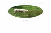 THE EFFECT OF CATTLE ON WATER QUALITY OF AN … · the Chesapeake Bay watershed, and so affect the water quality of the Chesapeake Bay. The data we collected can benefit local Garrett