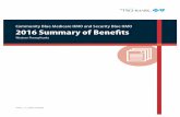 Community Blue Medicare HMO and Security Blue HMO 2016 ... · Security Blue HMO ValueRx (HMO), Security Blue HMO Standard (HMO), and Security Blue HMO Deluxe (HMO) group each medication