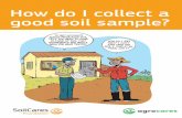 How do I collect a good soil sample? · soil to help the plants grow Nutrients: Tiny particles in the soil that a crop needs as food Soil sample: A bag of soil that represents the