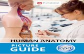 PICTURE GUIDE · ProTrainings Course Manual Welcome to your ProTrainings course. This manual is designed to be used exclusively by students who have completed a ProTrainings First