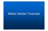 Blister Beetle ToxicosisBlister Beetle Toxicosisnicuvet.com/nicuvet/Equine-Perinatoloy/Lecture Notes/Slides/Equine... · Blister Beetle ToxicosisBlister Beetle Toxicosis SignsSigns