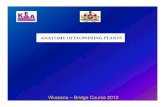 Vikasana – Bridge Course 2012 - KEA · Microsoft PowerPoint - GV Tonapi Biology 23.05.12.ppt [Compatibility Mode] Author: KEA Created Date: 5/31/2012 2:34:55 PM ...