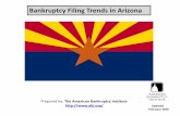 Bankruptcy Filing Trends in Arizona€¦ · Bankruptcy Filings in Arizona Calendar Years 2000 -2019 Year Total Chapter 7 Chapter 11 Chapter 13 Other Cases 2000 20,955 16,839 318 3,792