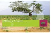 The scale and impact of land grabbing for agrofuels · 2020-02-11 · The scale and impact of land grabbing for agrofuels REPORT | FRIENDS OF THE EARTH AFRICA AND FRIENDS OF THE EARTH