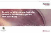 Genetic variation among Australian isolates of Fusarium ...€¦ · M. Paynter, E. Czislowski, M. Herrington & E. Aitken . Strawberry production in Australia Annual planting using