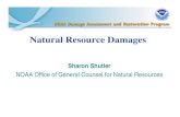 Natural Resource Damages · Comparison of 312 and 307 Section 312 Larger injuries Natural resource damage assessment and claim development Present claim: settle, or file suit in U.S.