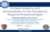 Surface Anatomy and Sonoanatomy for the Occasional ...csa.societyhq.com/meetings/2016winter/guide/... · Adductor Canal Anatomy ... Surface Anatomy and Sonoanatomy Popliteal Fossa