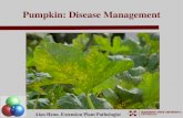 Pumpkin: Disease Management › cpa › Documents › Pumpkins for... · Managing Abiotic Plant Diseases Caused By: Nutrient Deficiencies: shortages or imbalances of minerals; soil