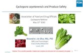 Cyclospora cayetanensis and Produce Safety...with McDonald’s to quickly remove implicated salad from the stores. Testing conducted by the FDA identified the parasite in an unopened