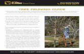 TREE PRUNING GUIDE - Amazon S3...Your 1 ocal Tree Care Provider 610-93-2279 Elite Tree Care 610-935-2279 info@elitetreecare.com 1. Perfect your timing. Light trimming or pruning is