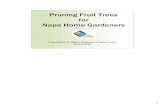 Pruning Fruit Trees for Napa Home Gardeners · 2016-01-17 · • Tree anatomy • Pruning vocabulary • Pruning tools We have talked about WHAT pruning is, And WHY we do it—mostly