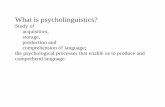 What is psycholinguistics - Brandeis Universitypeople.brandeis.edu/~smalamud/ling100/20examples-old.pdf · What is psycholinguistics? Study of acquisition, storage, production and