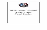 Underground Food Gardend3l1h3n4or6wo9.cloudfront.net/UGAR/3percentreport/... · 2014-02-21 · There are two big advantages of a raised bed garden. First of all, by raising the bed