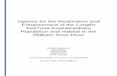 Options for the Restoration and Enhancement of the Longfin ... · Page 3 of 23 Executive Summary • The longfin eel (Anguilla dieffenbachii) or tuna kuwharuwharu, is New Zealand’s