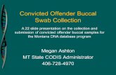 Convicted Offender Buccal Swab Collection · A Brief History (slide 3 of 3) • The original MT DNA statute only included Sexual and Violent offenders. • Amendments in 2001 and