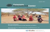 Somali Experiences in the Famine of 2011 › assets › Facing-Famine-high-quality.pdf · the famine (2012–14) inside Somalia (including Bay, Lower and Middle Shabelle, Gedo, Middle