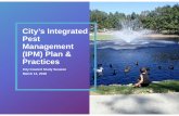 City’s Integrated Pest Management (IPM) Plan & Practices · Integrated Pest Management (IPM) •The IPM plan was developed with an ecosystem-based strategy that focuses on long
