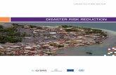 DISASTER RISK REDUCTION - reliefweb.int · Disaster risk reduction is not just an institutional issue, to be addressed by ministries and departments. It greatly concerns the daily