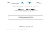 Inter-linkages - United Nations Universityarchive.unu.edu › inter-linkages › eminent › papers › WG1 › khor.pdf · 2019-04-16 · Martin Khor* United Nations University Centre