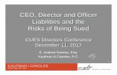 CUES - CEO Director and Officer Liabilities and the Risks of Being … · 2018-10-01 · 1 CEO, Director and Officer Liabilities and the Risks of Being Sued CUES Directors Conference