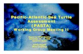 Pacific-Atlantic Sea Turtle Assessment (PASTA) Working Group … › PFRP › nov06mtg › heppell_lutcavage.pdf · 2017-12-21 · Pacific-Atlantic Sea Turtle Assessment (PASTA) Working