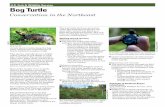 U.S. Fish & Wildlife Service Bog Turtle...turtle and continues to work with curb poaching and learn more about North America’s smallest turtle. U.S. Fish & Wildlife Service 1 800/344