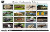 Zoo Animals List - stpatrickslangleymoor.org.uk€¦ · These animals are going to live in a new zoo. You need to classify the animals so that similar species can be housed near to