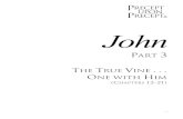 NAS John 3 PUP - Shopify › ... › 5091 › files › John_3_PUP_L1_NAS.pdf · 2019-12-18 · HELPFUL STUDY TOOLS v H ELPFUL S TUDY T OOLS ARTHUR, KAY; ARTHUR, DAVID; DE LACY, PETE