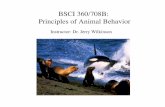 BSCI 360/708B: Principles of Animal Behavior › classroom › bsci360 › L1_Intro.pdf · 2012-08-29 · Pdf doc" username: bsci360" password: alcock" Topic of paper for discussion,