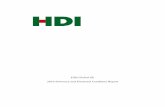 HDI Global SE 2019 Solvency and Financial Condition Report › downloads › DE_en › english_SFCR_incl... · 2020-06-16 · HDI Global SE essentially operates in fire, general liability,