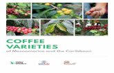 COFFEE VARIETIES - jAlbumpatricklepetit.jalbum.net › 01-THEMES › ... › Coffee_Varieties_of_Meso… · di˜erent varieties available to farmers so they can make an informed choice.