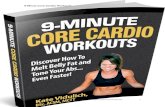 9-Minue Core Cardio Workouts …fatlossaccelerators.com › site › wp-content › uploads › 2017 › 12 › ...2017/12/09  · If your physician recommends you not to use Fat Loss
