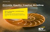 Private Equity Capital Briefing - EY › Publication › vwLUAssets › EY-pe... · Private Equity Capital Briefing November 2016 Monthly insights and intelligence on PE trends ...