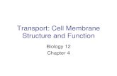 Transport: Cell Membrane Structure and Function · 2018-03-09 · •The cell membrane selects what it will let in and out of the cell. It lets different things through in different