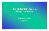 The Molecular Basis of Phenylketonuria...•Eisensmith and Woo. Gene Therapy for Phenylketonuria. European Journal of Pediatrics 155: [suppl 1] S16-S19. 1996. •Ellis, Daubner, and
