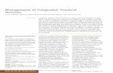 Management of Congenital Tracheal Stenosis › content › pediatrics › 136 › 3 › e660.full.pdfManagement of Congenital Tracheal Stenosis Sophie C. Hofferberth, MBBS a, Karen