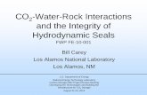 CO2-Water-Rock Interactions and the Integrity of ......CO 2-Water-Rock Interactions and the Integrity of Hydrodynamic Seals FWP FE-10-001 Bill Carey Los Alamos National Laboratory