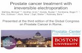 Prostate cancer treatment with irreversible electroporation€¦ · Stehling et al.: Global Congress on Prostate Cancer: 05 – 07.02.2015 5 In all cases MRIs were obtained before