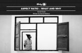 ASPECT RATIO – WHAT AND WHY...it usable in portrait orientation. Like 4:3, it plays nicely with the rule of thirds, and is wide enough for lovely landscape work as well. I personally