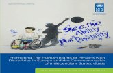 Promoting The Human Rights of Persons with › content › dam › rbec › docs › BRC PWD... · The inclusion of persons with disabilities in development efforts is a question