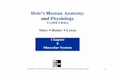 Holeâ€™s Human PowerPoint to accompany Holeâ€™s Human Anatomy and Physiology 12e Authors here Author: