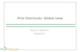 Pine Chemicals- Global view€¦ · Pine Chemicals- Global view Summary Pine Chemicals have a good future, many new potential markets and they represents an important part of world
