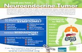 Neuroendocrine Tumor NET - Carcinoid Cancer Foundation · 2016-12-29 · Neuroendocrine tumors (also known as NETs or Neuroendocrine cancer), develop from hormone producing cells,