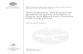 Transcriptomic and Proteomic Analysis of Tumor Markers in ...uu.diva-portal.org/smash/get/diva2:1197112/FULLTEXT01.pdf · 158(2):239-251 . Gremel G., Djureinovic D., Niinivirta M.,