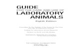 Guide for the Care and Use of Laboratory Animals, 8th edition. … Guide.pdf · 2012-12-20 · v COMMITTEE FOR THE UPDATE OF THE GUIDE FOR THE CARE AND USE OF LABORATORY ANIMALS Members