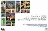 The role of CITES and key issues for CoP17 · 2017-12-21 · The role of CITES and key issues for CoP17 (Johannesburg, 24 Sept - 5 Oct 2016) 16. th. International Wildlife Law Conference.