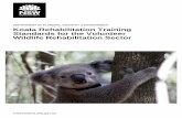 Koala Rehabilitation Training Standards for the Volunteer Wildlife … · 2020-04-24 · Koala Rehabilitation Training Standards for the Volunteer Wildlife Rehabilitation Sector .
