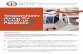 COVID-19 Telepsychiatry...Overview Telepsychiatry will be very useful over the next months due to the current COVID-19 pandemic. Changes have recently taken place to make telepsychiatry