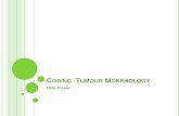 CODING TUMOUR MORPHOLOGY - ENCR · RULE F. BEHAVIOUR CODE IN MORPHOLOGY Behaviour of a tumour is the way it acts within the body Codes: /0 – benign – the tumour grows in place